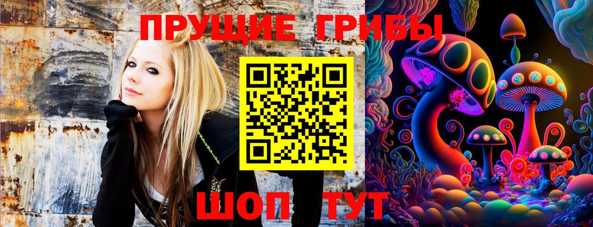 Псилоцибиновые грибы Cubensis Киров