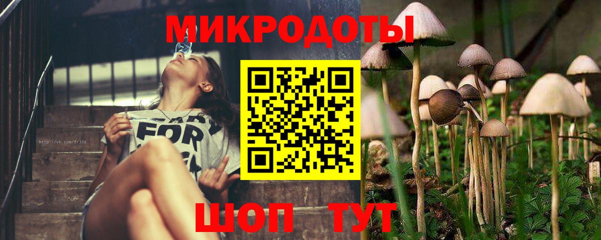 где купить наркоту  Псилоцибиновые грибы мухоморы  Псилоцибиновые грибы GOLDEN TEACHER  Вход с VPN  Киров 
